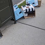 Trash/Recycling at 470 Harvard St