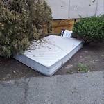 Trash/Recycling at 11 Englewood Ave