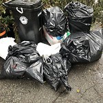 Trash/Recycling at 44 Marion St Coolidge Corner South Side