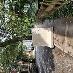 Trash/Recycling at 88 Brook St Central Village