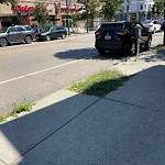 Public Trees at 100 Harvard St