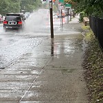 Sidewalk Repair at Brookline Ave, Boston