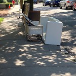 Trash/Recycling at 20 Alton Pl