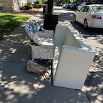 Trash/Recycling at 20 Alton Pl