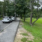 Trash/Recycling at Dudley Way