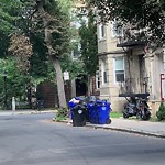 Trash/Recycling at 81 Gibbs St North Brookline