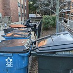 Trash/Recycling at 70 Centre St