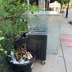 Trash/Recycling at 6 Station St