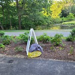 Trash/Recycling at Longwood