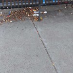 Trash/Recycling at 508a Harvard St