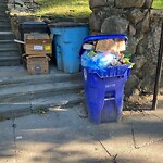 Rodent Issues at Summit Path