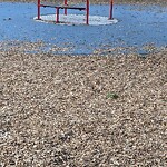 Park Playground at 54 Francis St