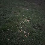 Trash/Recycling at 133 Eliot St