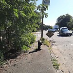 Sidewalk Obstruction at N42.33 E71.14