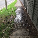 Sidewalk Repair at 883–933 Hammond St