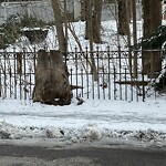 Unshoveled/Icy Sidewalk at 300 Kent St