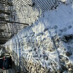 Unshoveled/Icy Sidewalk at Chestnut St