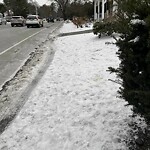 Unshoveled/Icy Sidewalk at 246 Clyde St, Chestnut Hill