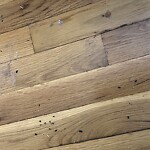 Rodent Issues at 1455 Beacon St