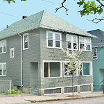 Public Trees at 52 Linden St