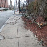 Sidewalk Obstruction at 59 Marion St