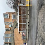 Rodent Issues at 725 Washington St, Brookline 02446