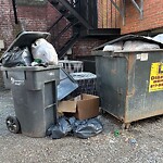 Trash/Recycling at 16 Winchester St