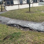 Sidewalk Repair at 640 Hammond St, Chestnut Hill