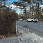 Other at 4 Hawthorn Rd