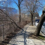 Public Trees at 64–72 Kent St