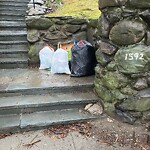 Rodent Issues at Summit Path