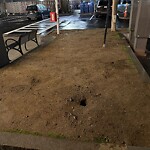 Rodent Issues at 294 Harvard St