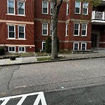 Trash/Recycling at 51–77 Browne St