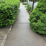 Sidewalk Obstruction at 88 Coolidge St