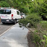 Sidewalk Obstruction at 42.33 N 71.13 W