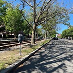 Public Trees at 1122–1150 Beacon St