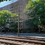 Public Trees at 1100–1120 Beacon St