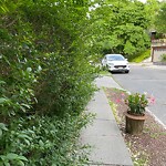 Sidewalk Obstruction at 42.34 N 71.13 W