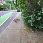 Sidewalk Obstruction at 487 Washington St