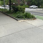 Sidewalk Obstruction at 28 Babcock St, Brookline 02446