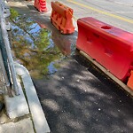 Sidewalk Obstruction at 40 Centre St