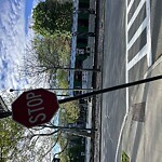 Damaged Sign at 1–43 Borland St, Brookline 02446