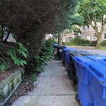 Sidewalk Obstruction at 36 Addington Rd