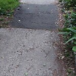 Sidewalk Repair at 66 Griggs Rd