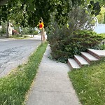 Sidewalk Obstruction at 5 Grassmere Rd, Chestnut Hill