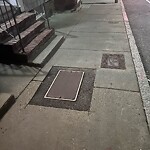 Sidewalk Repair at 81 Walnut St