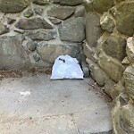 Rodent Issues at Summit Path