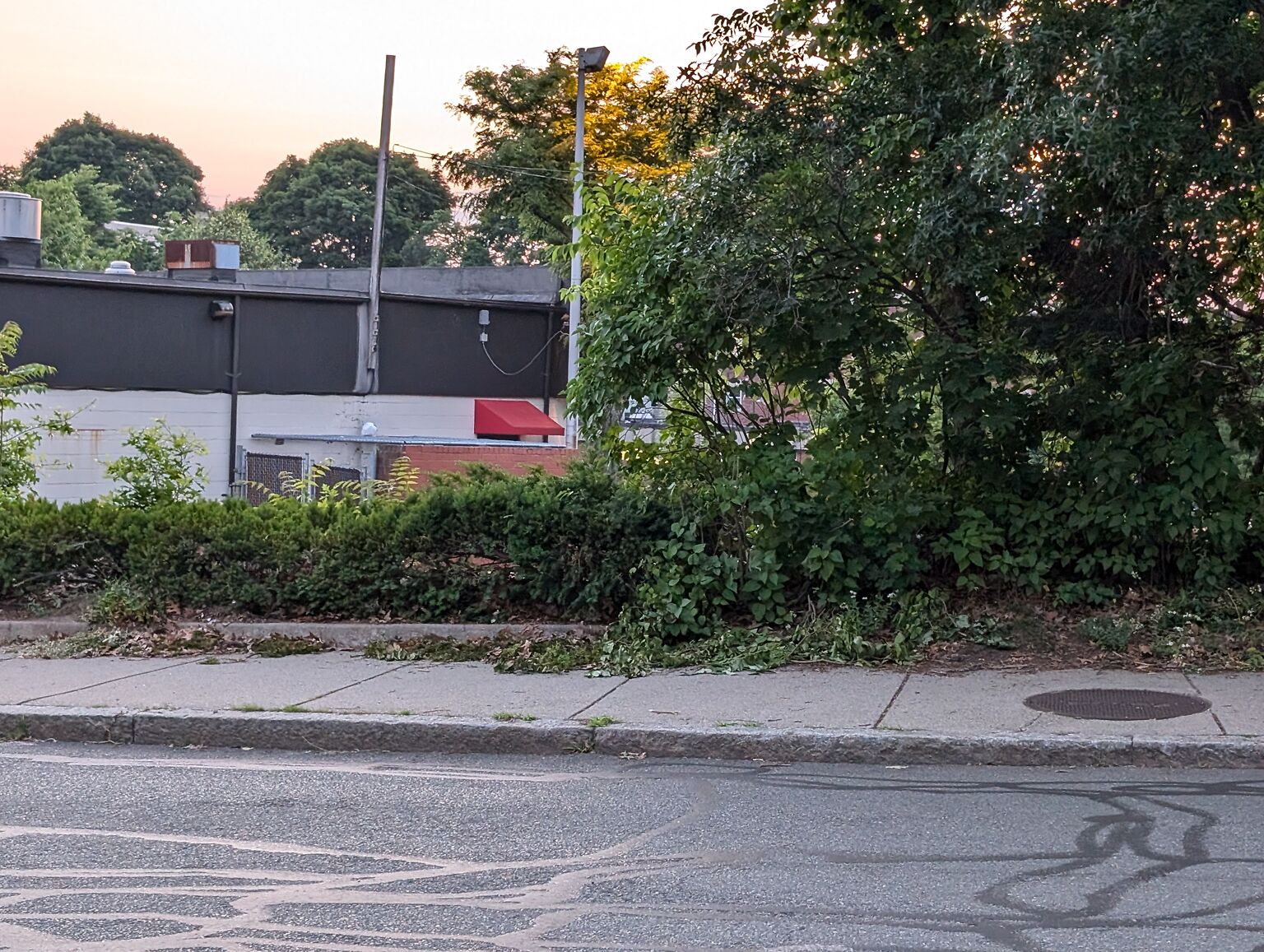 Pxl_20240619_003015820