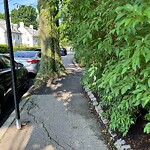 Sidewalk Obstruction at 282 Kent St