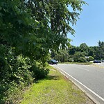 Sidewalk Obstruction at Hammond Pond Pkwy, Chestnut Hill